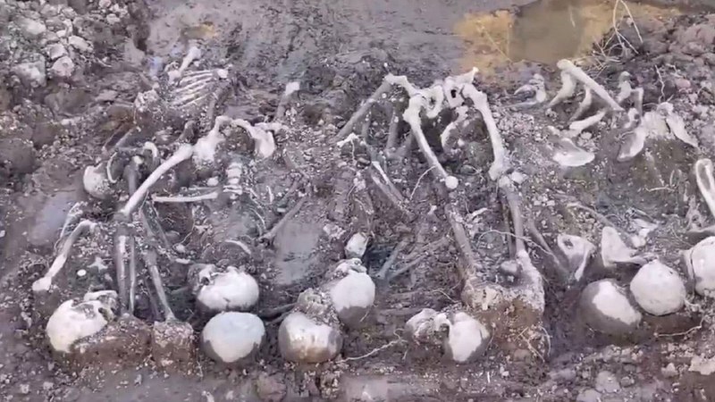 Иллюстрация 6