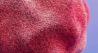 Лайфхак для быстрого засыпания