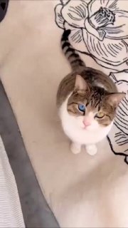 Иллюстрация 2