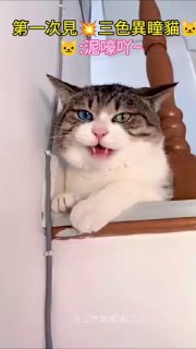 Иллюстрация 3