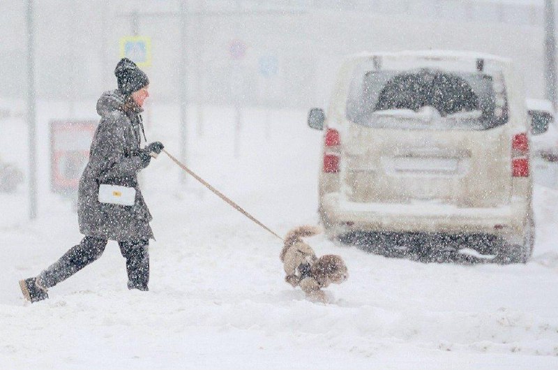 В Москве ожидается снежный коллапс