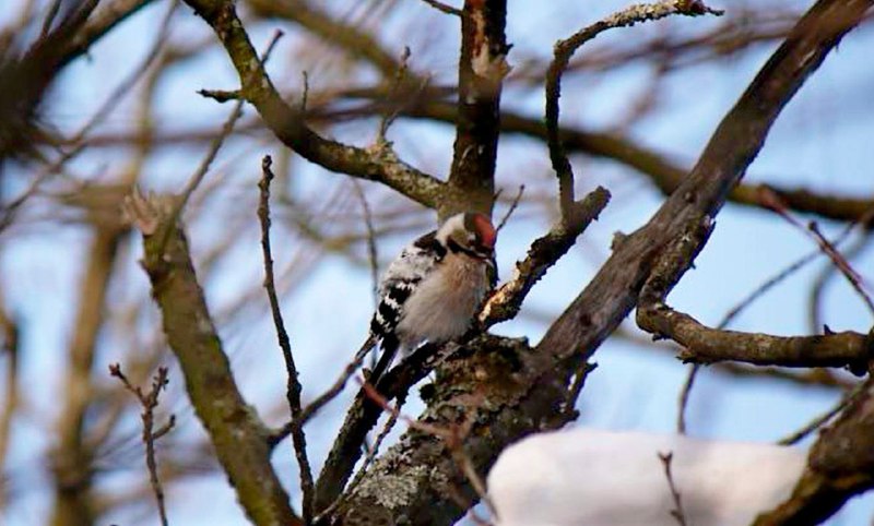 Иллюстрация 2