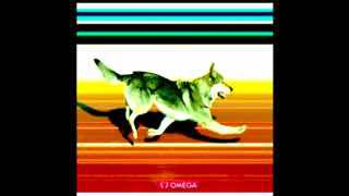 На Олимпиаде финишировал пес