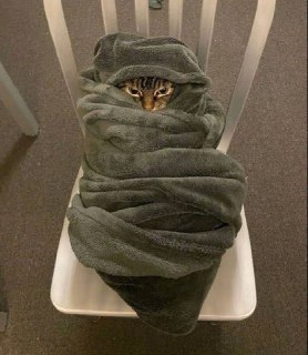 Ожидаются сильные морозы и снегопады в Ленинградской области и Санкт-Петербурге