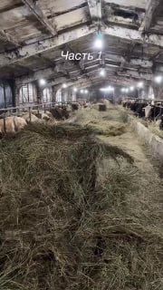 Иллюстрация 2