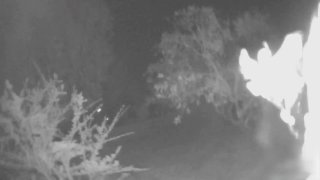 Кадры боевой работы ЦАХАЛ в Ливане: уничтожен мост через Литани