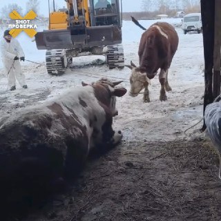 Иллюстрация 2