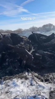 Иллюстрация 3