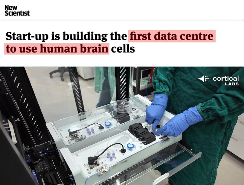 Стартап заменяет серверы на биокомпьютеры из живых клеток мозга