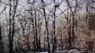 Уничтожена украинская САУ AS-90 в Сумской области