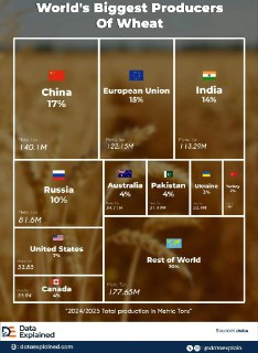 Словацкий производитель сократил выпуск аммиака из-за роста цен на газ: последствия для мирового рынка зерна