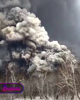 Иллюстрация 1