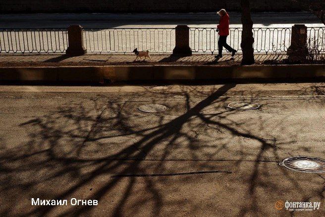 До +14 градусов поднимется температура сегодня в Питере