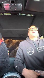 Русский медведь на Гелике завирусился в соцсетях