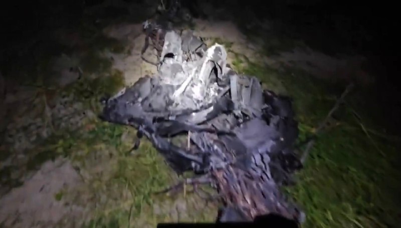 Иллюстрация 6