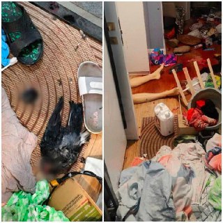 Иллюстрация 2