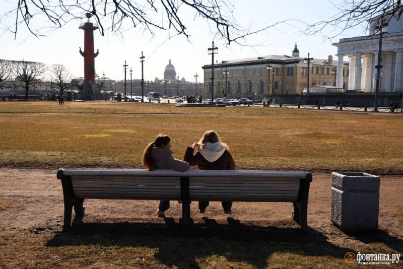 Иллюстрация 4