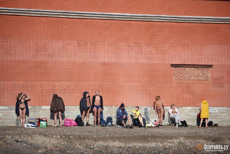 Иллюстрация 6