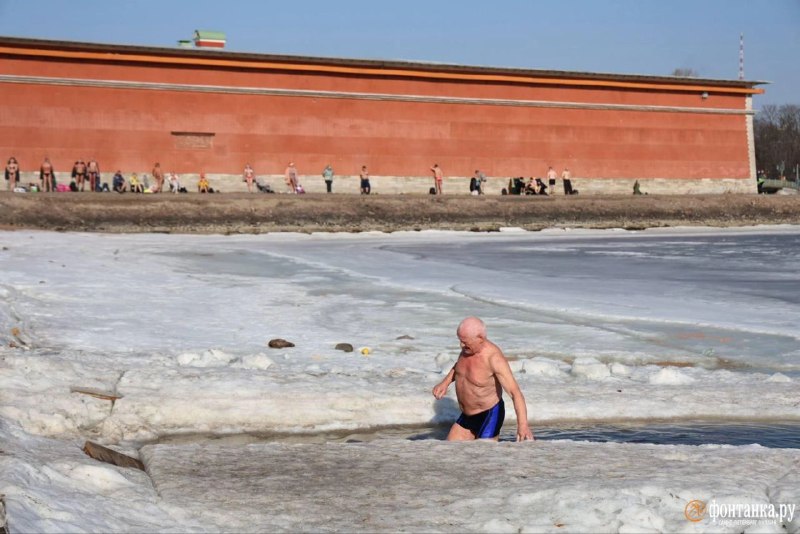 Иллюстрация 7