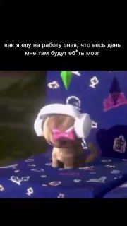 Иллюстрация 1