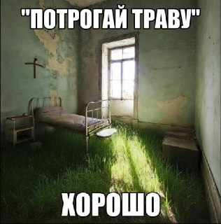 Учёные: трогать траву полезно для психики