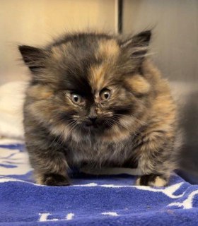 Иллюстрация 2