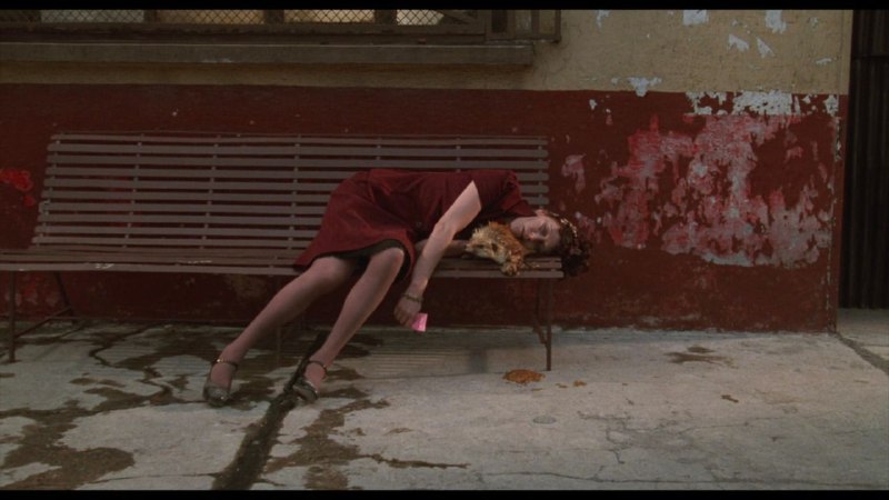 Иллюстрация 5