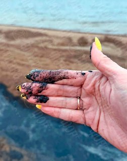 В Эконадзоре опровергли разлив нефти в Усть-Луге