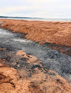 Иллюстрация 2