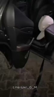 Иллюстрация 2