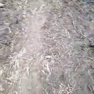 Разбитая колонна боевиков ВСУ на Запорожском направлении