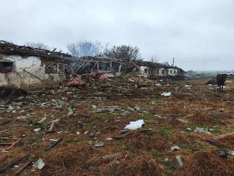 Дроны ВСУ атаковали конную ферму в Запорожской области, погибли 14 лошадей