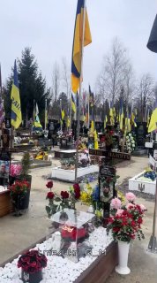 Иллюстрация 3