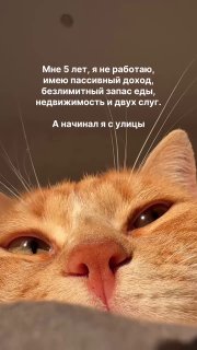 Найден самый успешный предприниматель, поднявшийся с низов в рекордные сроки