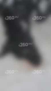 Иллюстрация 2