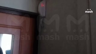 Иллюстрация 1