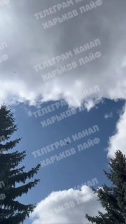 Иллюстрация 2