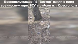 Воин DV: уничтожение группы ВСУ и захват трофейного телефона