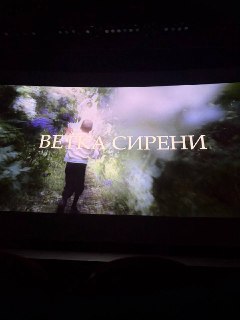 Иллюстрация 4