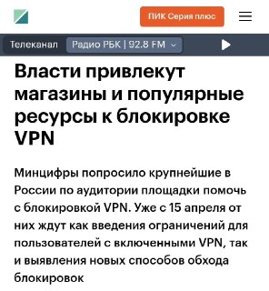Мнение: отключение VPN решит все проблемы страны