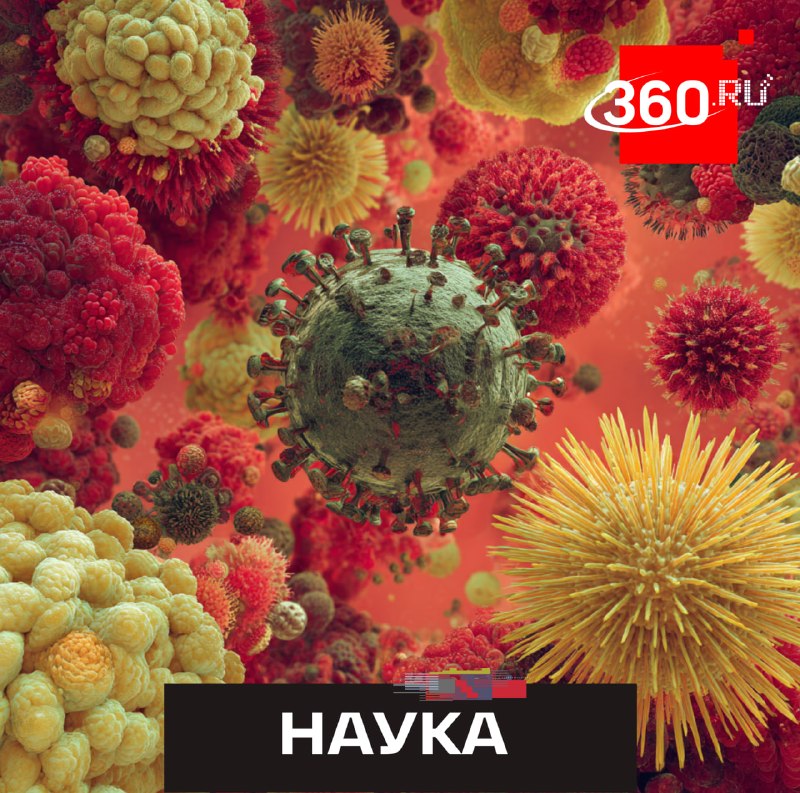 Вирусы научились подслушивать друг друга и манипулировать конкурентами