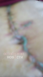 Иллюстрация 5