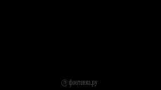 Трамп — это Ельцин?