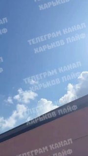 Иллюстрация 4