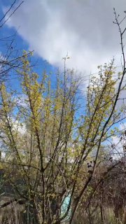 Иллюстрация 5