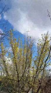 Иллюстрация 2