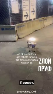 В Атланте появились злые роботы-охранники с электрошокерами