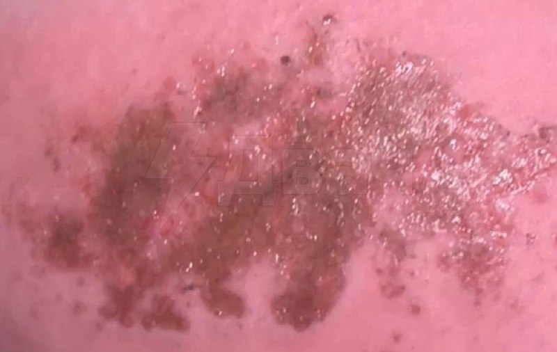 Иллюстрация 3