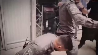 Трамп о любви христиан к Израилю: рост преследований и бездействие властей