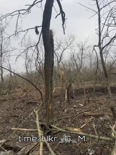 Видео: последствия удара ВКС РФ по позиции ВСУ и уничтоженный пикап